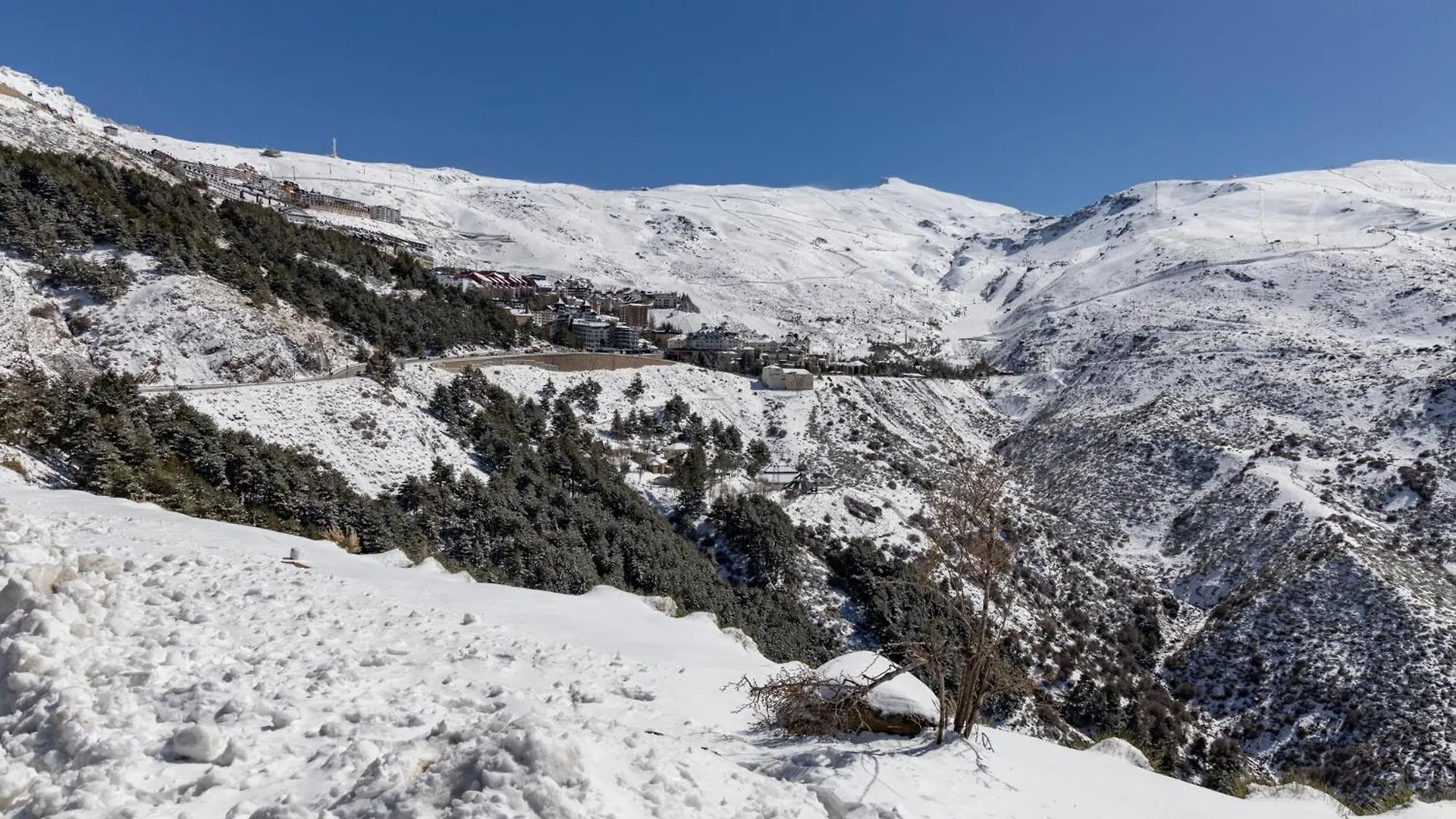 Bibo Suites Sierra Nevada Appartamento