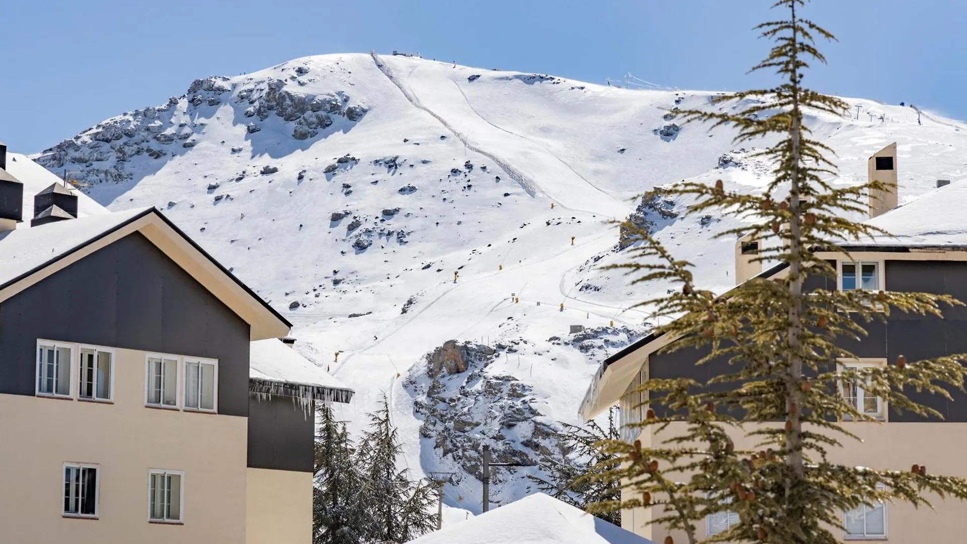 Bibo Suites Sierra Nevada Spagna
